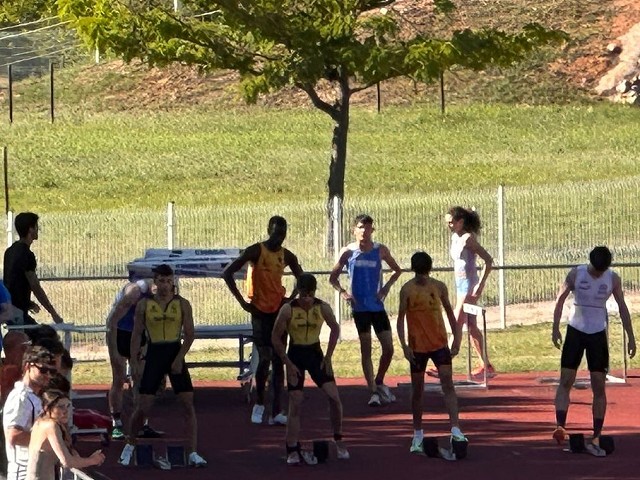 Imagen 15